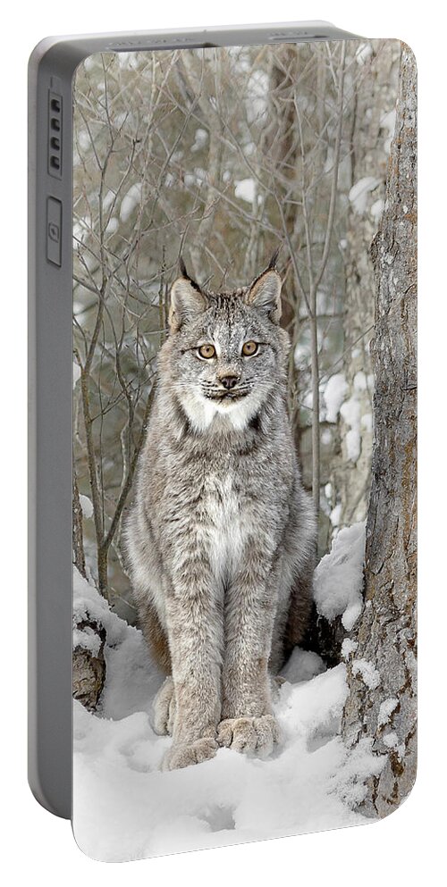 Canadian Wilderness Lynx Portable Battery Charger featuring the photograph Canadian Wilderness Lynx by Wes and Dotty Weber