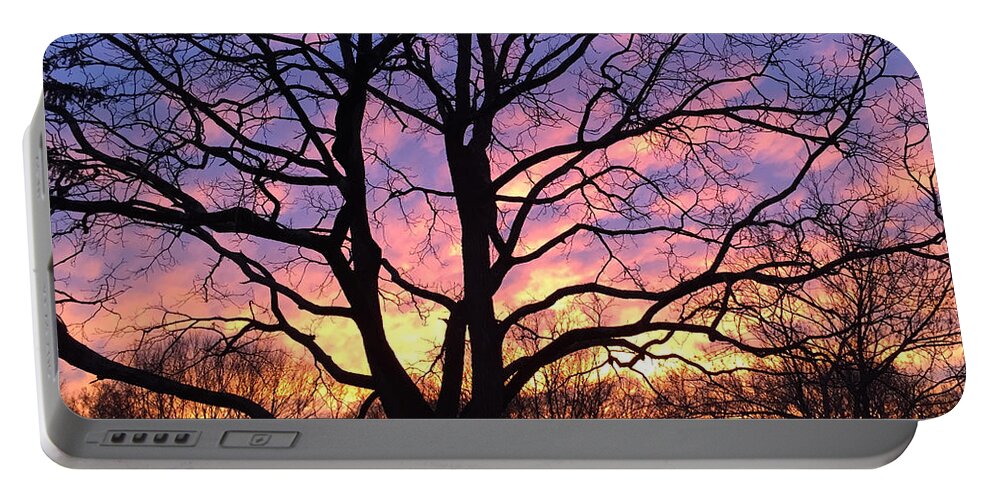 Copyright 2015 By Christopher Plummer Portable Battery Charger featuring the photograph Canal Winter Sunset LS by Christopher Plummer