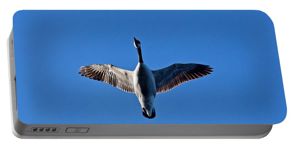 Canadian Portable Battery Charger featuring the photograph Candian Goose in Flight 1648 by Michael Peychich