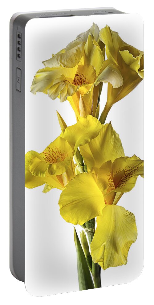 Canna Lilies Portable Battery Charger featuring the photograph Canna Lilies by Endre Balogh