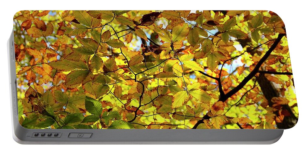 Autumn Portable Battery Charger featuring the photograph Canopy of Autumn Leaves by Angie Tirado