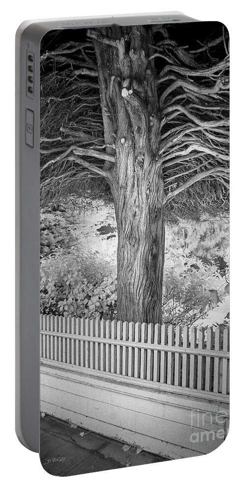 California Portable Battery Charger featuring the photograph Canopy Tree by Craig J Satterlee