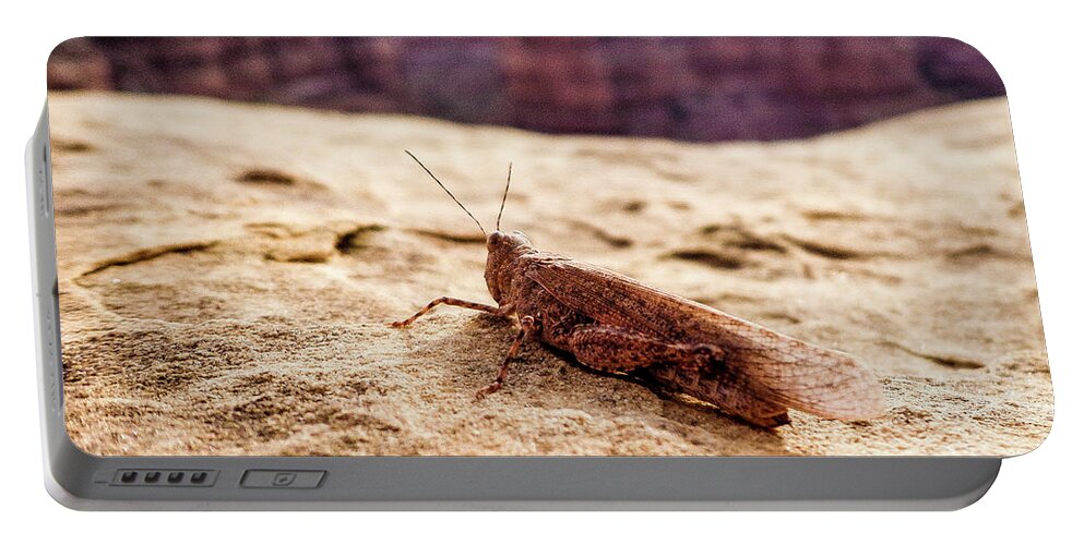 Wildlife Portable Battery Charger featuring the photograph Canyon Hopper by Adam Morsa
