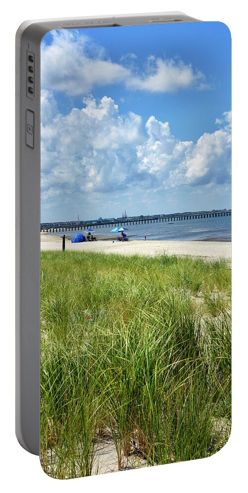 Cape Henlopen State Park Portable Battery Charger featuring the photograph Cape Henlopen State Park by Brendan Reals