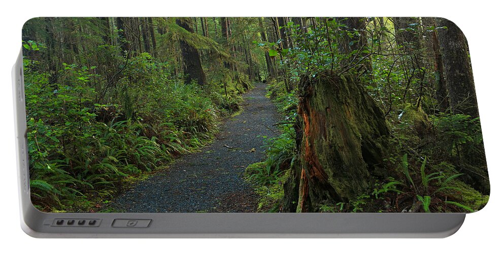 Cape Scott Portable Battery Charger featuring the photograph Cape Scott Regeneration by Adam Jewell