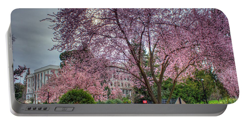Lavendar Portable Battery Charger featuring the photograph Capitol Tree by Randy Wehner