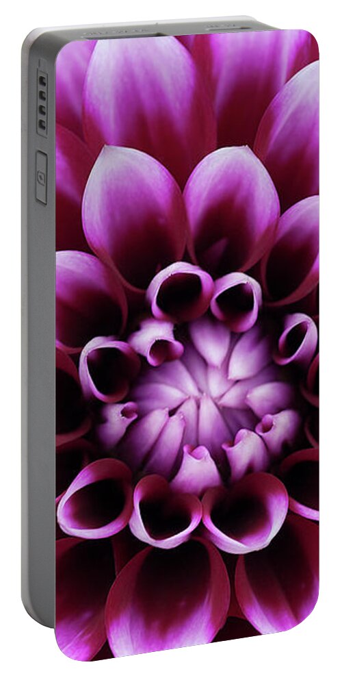 Jigsaw Puzzle Portable Battery Charger featuring the photograph Captivate by Carole Gordon