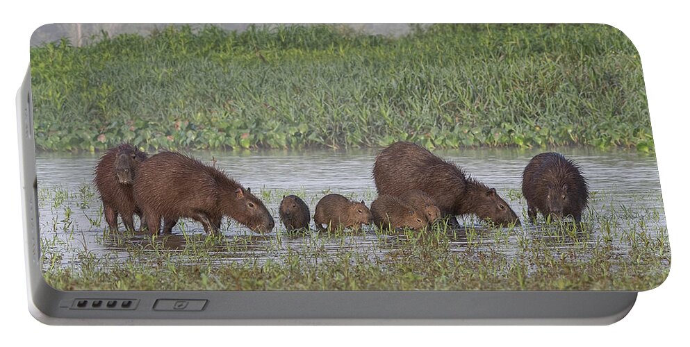 Capybara Portable Battery Charger featuring the photograph Capybara by Wade Aiken