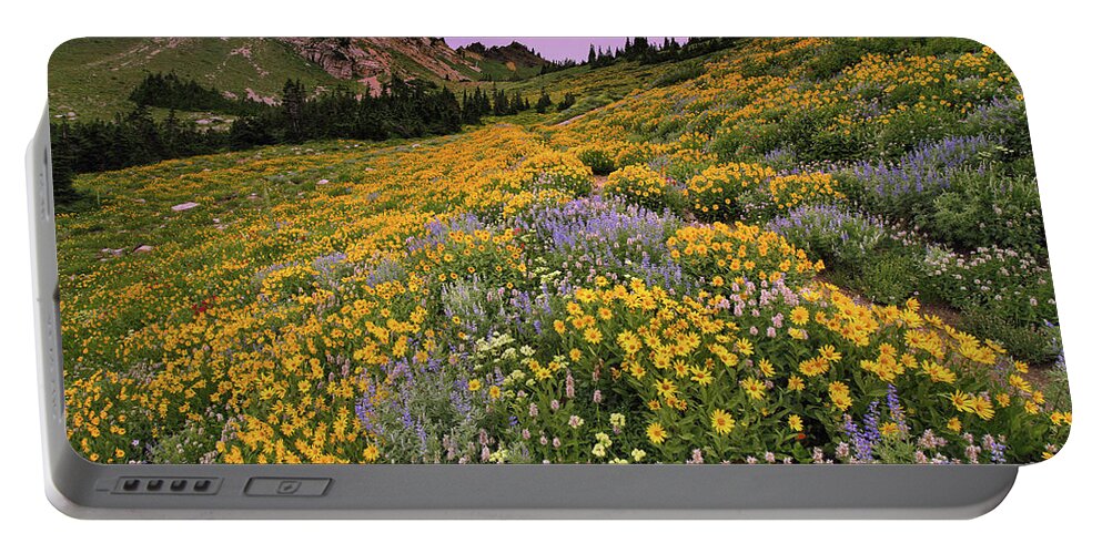 Utah Portable Battery Charger featuring the photograph Cardiff Pass Sunset and Wildflowers - Alta, Utah by Brett Pelletier