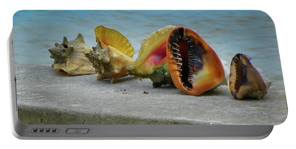 Conch Shells Portable Battery Charger featuring the photograph Caribbean Charisma by Karen Wiles