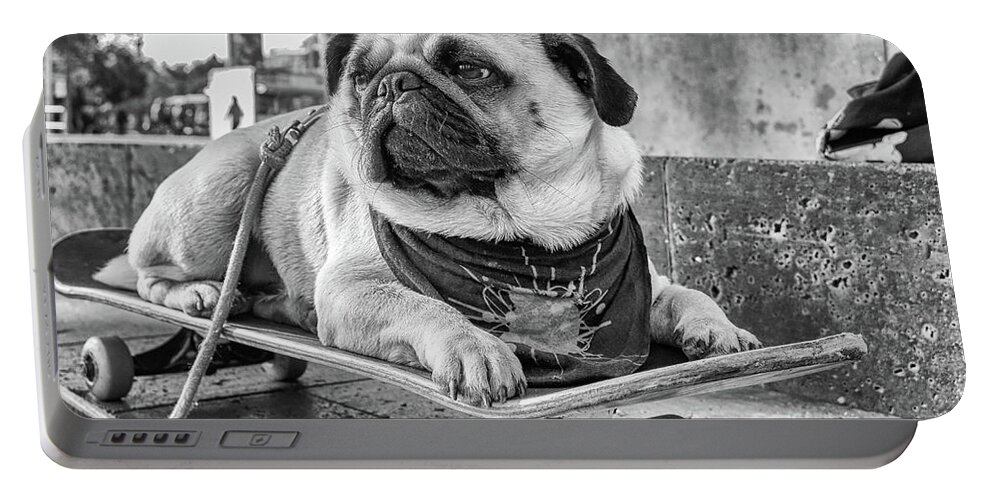 Pug Portable Battery Charger featuring the photograph Carlos de Barcelona by Becqi Sherman