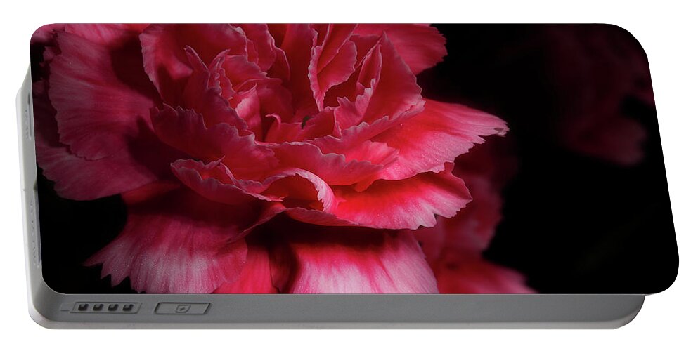 Carnation Portable Battery Charger featuring the photograph Carnation Series 5 by Mike Eingle