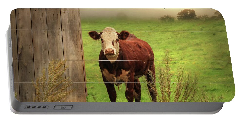 Cow Portable Battery Charger featuring the photograph Carsonville Cow 1 by Lori Deiter