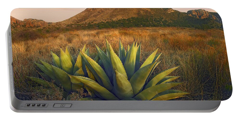 00175597 Portable Battery Charger featuring the photograph Casa Grande Butte With Agave by Tim Fitzharris