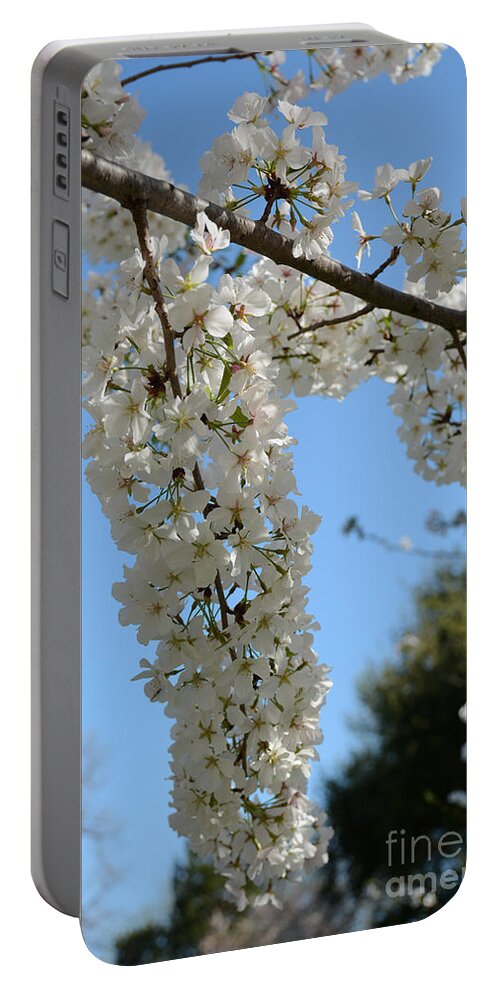  Portable Battery Charger featuring the painting Cascading Cherry Blossoms by Constance Woods