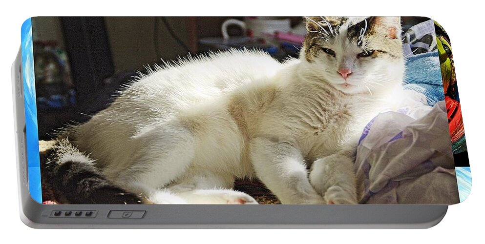 Cats Portable Battery Charger featuring the photograph Cat 4 by Karl Rose