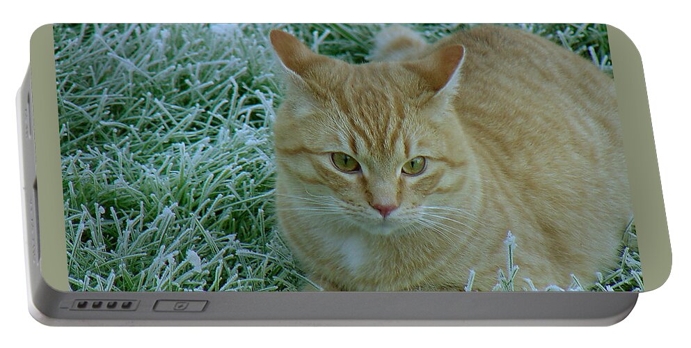 Green Portable Battery Charger featuring the photograph Cat in Frosty Grass by Shirley Heyn