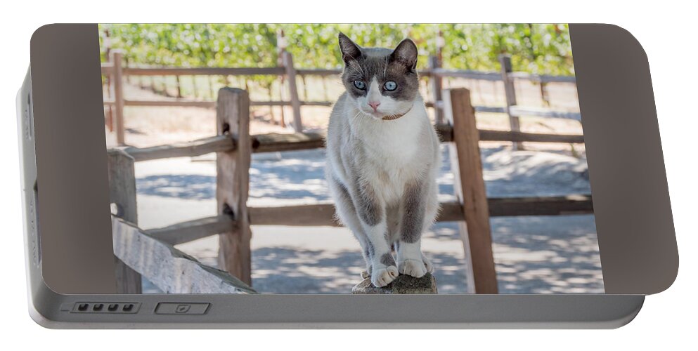 Cat Portable Battery Charger featuring the photograph Cat on a Wooden Fence Post by Derek Dean