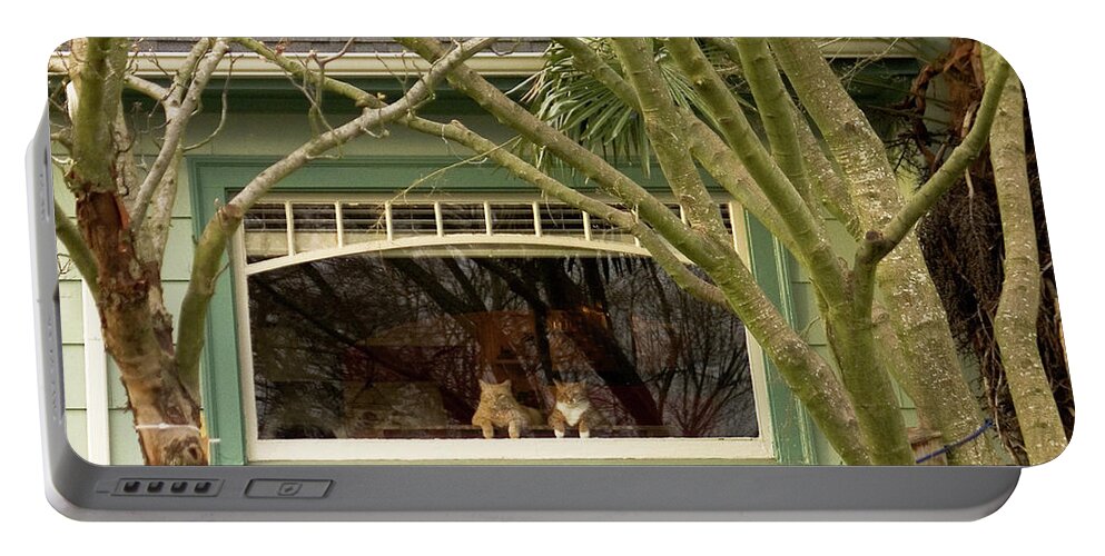 Cat Pals Portable Battery Charger featuring the photograph Cat Pals Waiting by Frank DiMarco