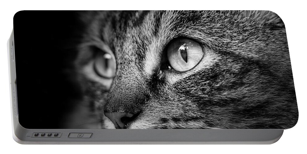 Cat Portable Battery Charger featuring the photograph Cat Stare BW by Rick Deacon