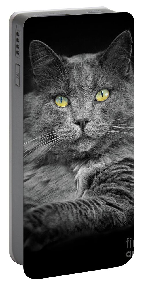 Cat Portable Battery Charger featuring the photograph Cat With the Golden Eyes by Mimi Ditchie