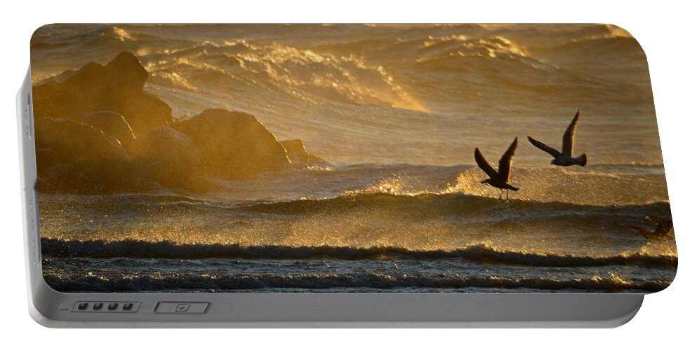 Corporation Beach Portable Battery Charger featuring the photograph Catch of the Day - Cape Cod Bay by Dianne Cowen Cape Cod Photography