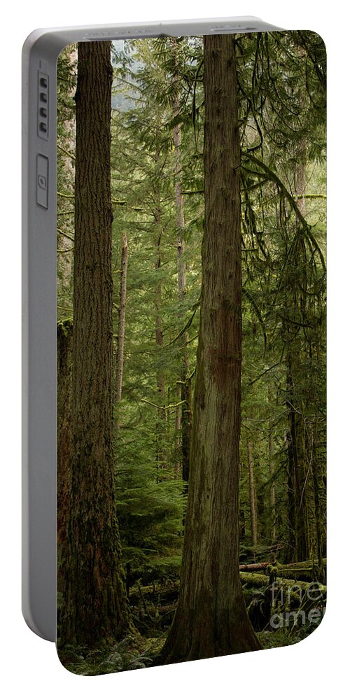 Cathedral Grove Portable Battery Charger featuring the photograph Cathedral Grove by Donna L Munro