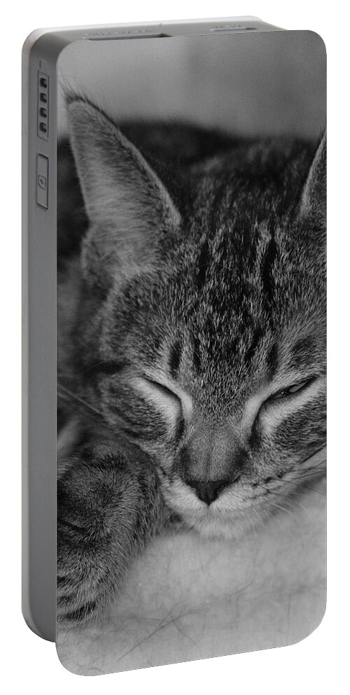 Catnap Portable Battery Charger featuring the photograph Catnap by John Moyer