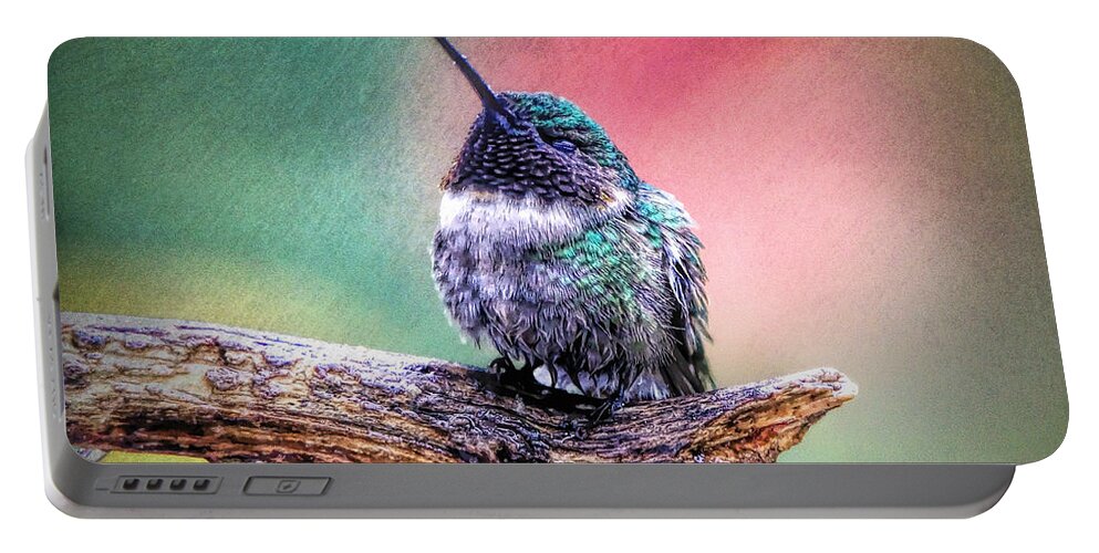 Hummingbird Portable Battery Charger featuring the photograph Catnapping In The Rain by Tina LeCour