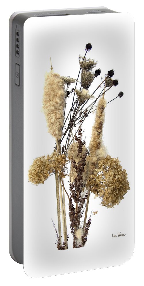 Lise Winne Portable Battery Charger featuring the digital art Cattails and November Flowers II by Lise Winne