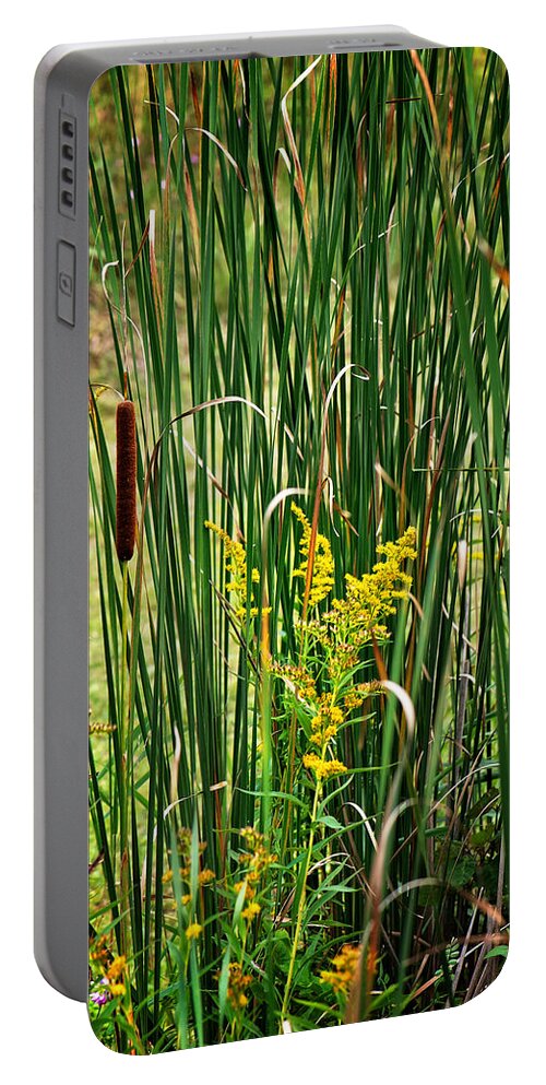 Cattails On The Pond Print Portable Battery Charger featuring the photograph Cattails on the Pond Print by Gwen Gibson