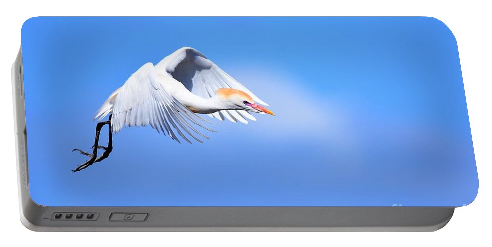 Cattle Egret Portable Battery Charger featuring the photograph Cattle Egret In Flight by Julie Adair