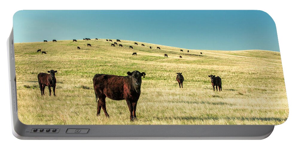 Cattle Portable Battery Charger featuring the photograph Cattle Grazing on the Plains by Todd Klassy