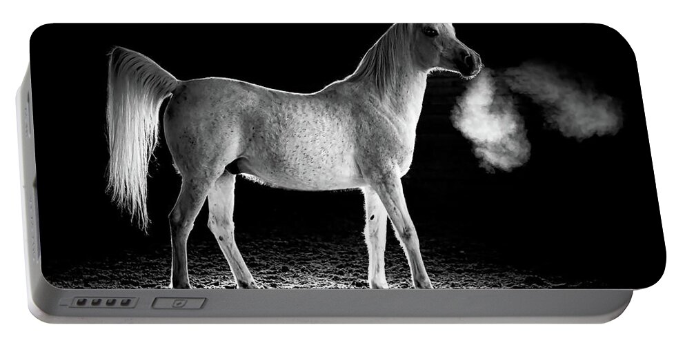 Arabian Horse Portable Battery Charger featuring the photograph Cavalli Majesty by Athena Mckinzie