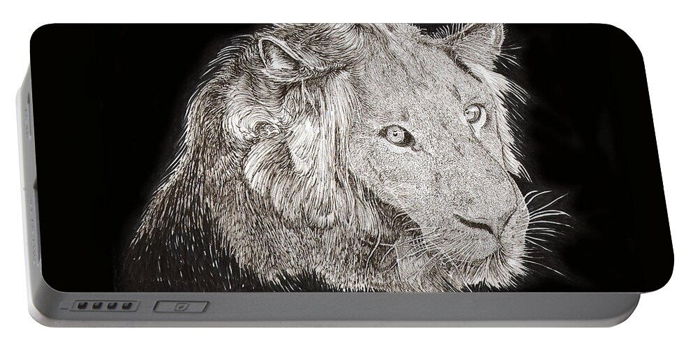 Framed Prints Of A Pen & Ink Drawing Of Cecil Portable Battery Charger featuring the drawing Cecil African Lion R I P by Jack Pumphrey