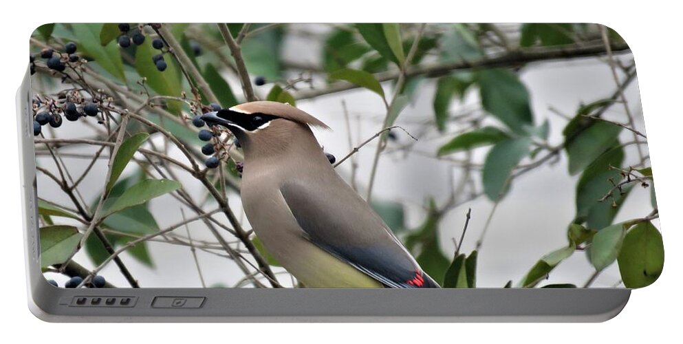 Kathy Long Portable Battery Charger featuring the photograph Cedar Waxwing 3 by Kathy Long
