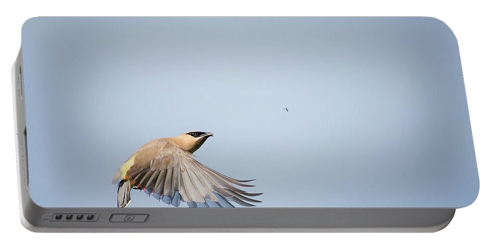 Birds In Flight Portable Battery Charger featuring the photograph Cedar Waxwing in Flight by Bill Wakeley