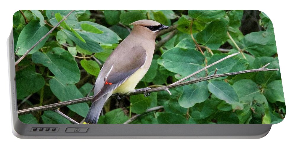 Cedar Portable Battery Charger featuring the photograph Cedar Waxwing by Michael Peychich