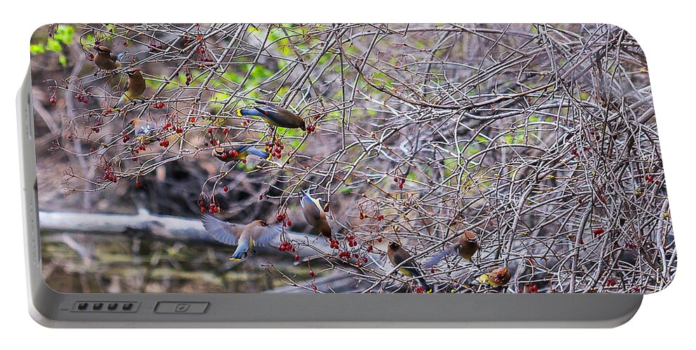 Heron Heaven Portable Battery Charger featuring the photograph Cedar Waxwings Feeding 2 by Ed Peterson