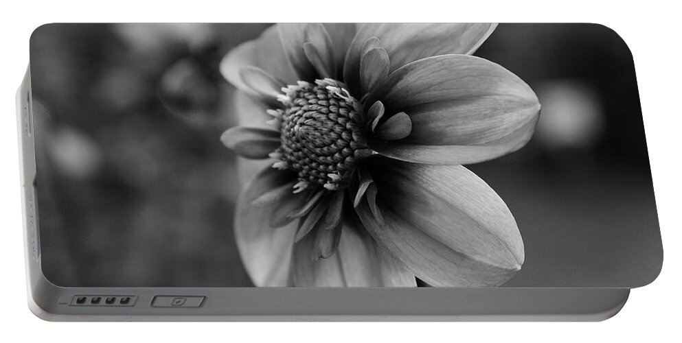 Flower Portable Battery Charger featuring the photograph Center attraction by Sheila Ping