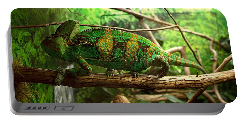 James Smullins Portable Battery Charger featuring the photograph Chameleon by James Smullins