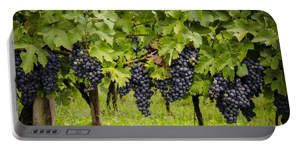 Chardonnay Portable Battery Charger featuring the digital art Chardonnay grape cluster by Perry Van Munster