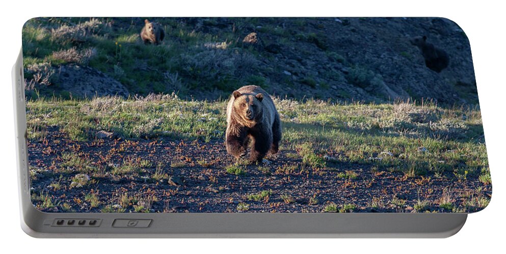Grizzly Bear Portable Battery Charger featuring the photograph Charging Grizzly by Mark Miller