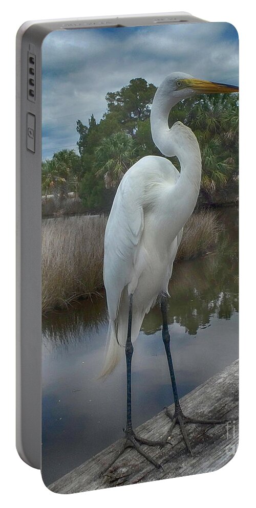 Egret Portable Battery Charger featuring the photograph Charlie the Great Egret by Judy Hall-Folde