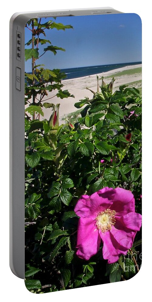 Flower Portable Battery Charger featuring the photograph Chatham Flower by Jim Gillen