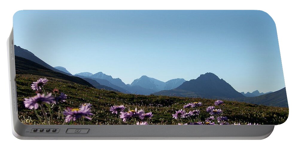 Middle Of Summer Portable Battery Charger featuring the photograph Cheerful Alpine Daisy Meadows by Greg Hammond