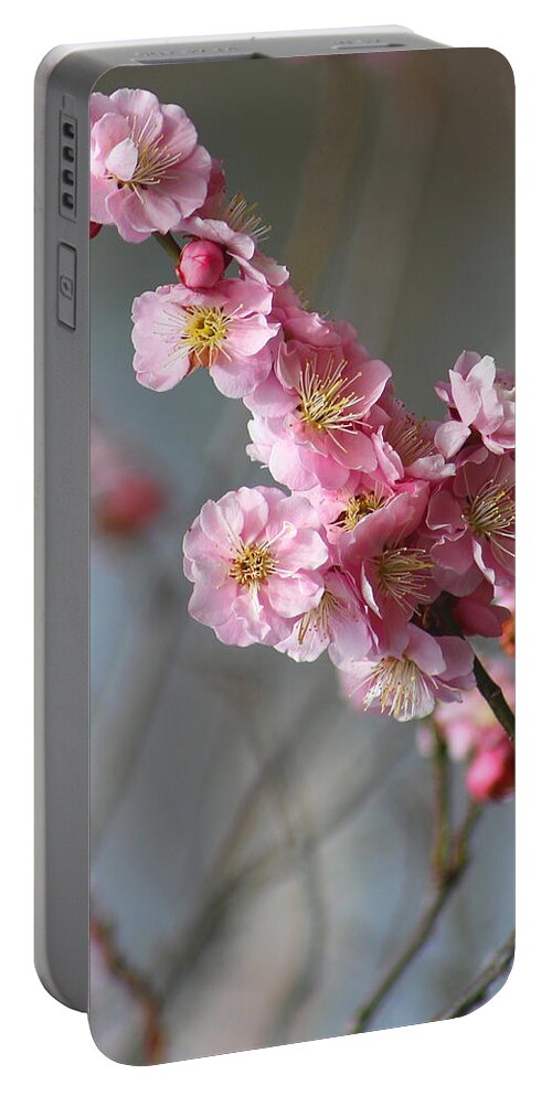 Cherry Blossoms Portable Battery Charger featuring the photograph Cheerful Cherry Blossoms by Living Color Photography Lorraine Lynch