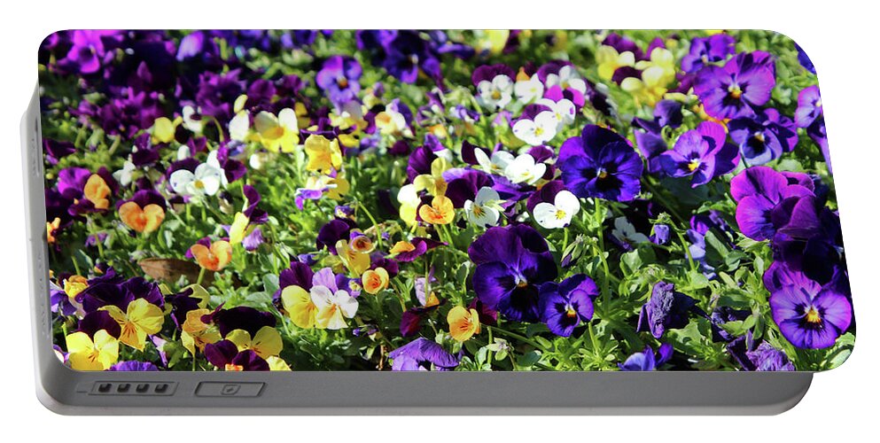 Pansies Portable Battery Charger featuring the photograph Cheerful Pansies by Cynthia Guinn