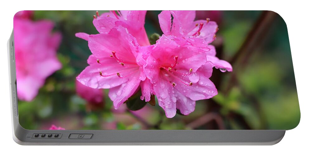 Floral Portable Battery Charger featuring the photograph Cheerful Rain by DiDesigns Graphics
