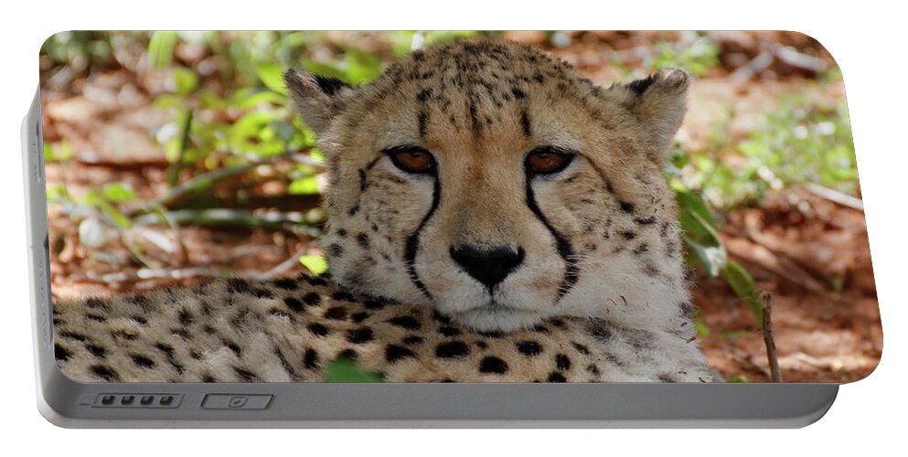 Cheetah Portable Battery Charger featuring the painting CHEETAH no. 5 by Robert SORENSEN
